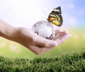 A picture of a hand holding a glowing earth globe in his hand with a butterfly on the globe.
