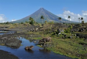 A picture of Mount Mayon Volcano in the province of Bicol, Philippines.
