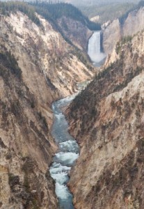 A picture of a Grand Canyon in Yellowstone National Park.