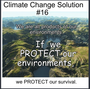 climate change solution #16 written on a picture of the Amazon rain forest