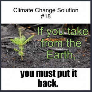 a meme about planting trees with a small tree in the picture